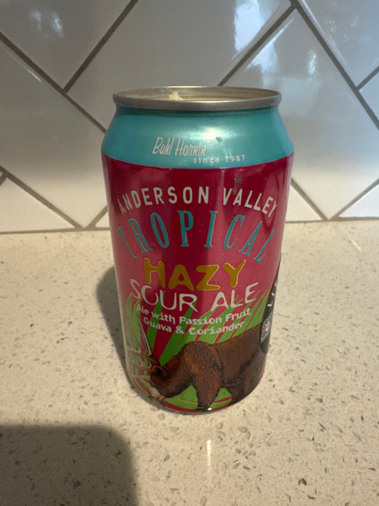 Anderson Valley: Tropical Sour Hazy